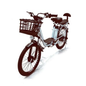 CRONY 20 Inch Ilan Princess Electric Bike With 350W Motor And Removable Lithium Battery