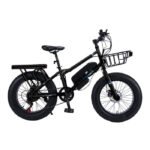 CRONY 22 Inch Sand Style Electric Bicycle For Desert Riding In Classic Black Finish