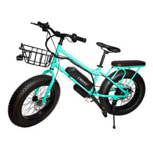 CRONY 22 Inch Sand Electric Off-Road Bicycle For Outdoor Riding In Blue Color Option
