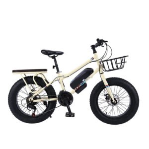 CRONY 22 Inch Sand Electric Bicycle For Outdoor Desert Riding In Bright Yellow Color