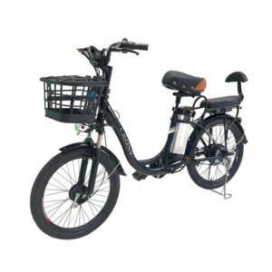 CRONY 22 Inch Fire Spirit Bird E-Bike With Stylish Flying Pigeon Frame And Design