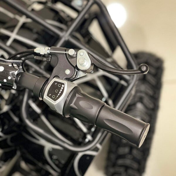 CRONY All Terrain Electric ATV With Disc Brakes And Front Rear Suspension System - Image 10